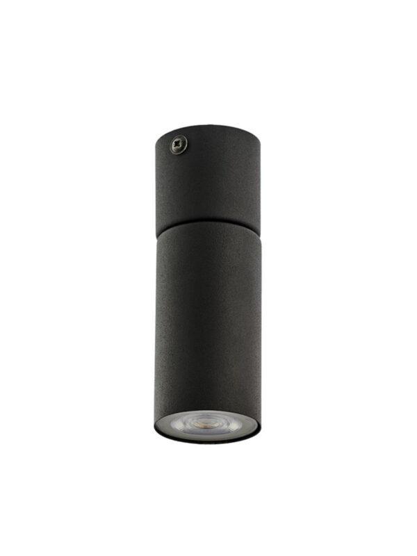 Stropna svjetiljka Sandero Black