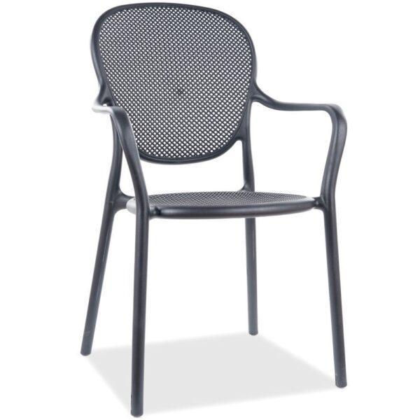 Blagovaonska stolica Berat 3