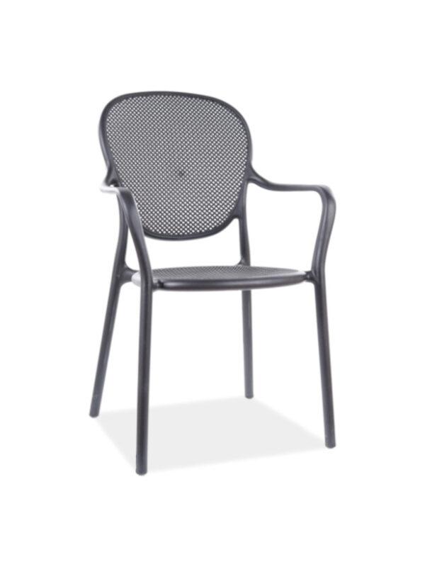 Blagovaonska stolica Berat 1