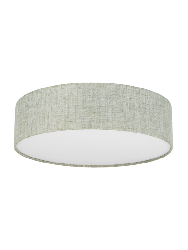 Stropna svjetiljka Globe Green