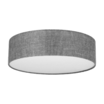 Stropna svjetiljka Globe Gray 1