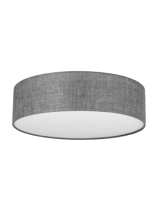 Stropna svjetiljka Globe Gray