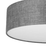 Stropna svjetiljka Globe Gray 5