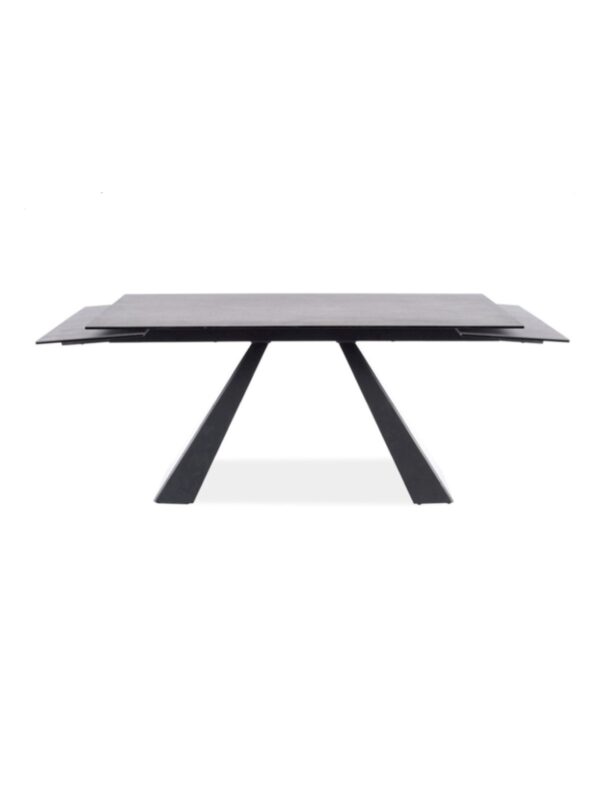 Blagovaonski stol Petal Maxi 180 Grey 1