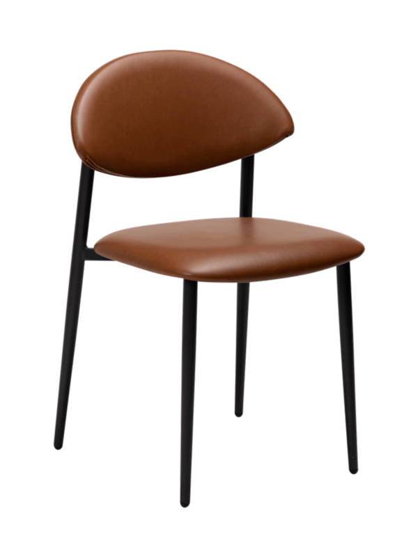 Blagovaonska stolica Tush Brown