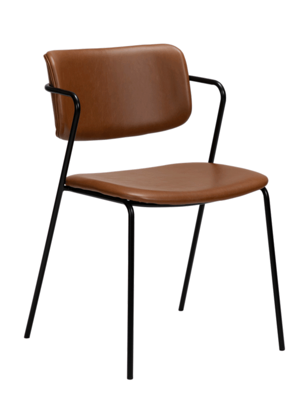 Blagovaonska stolica Zed Brown