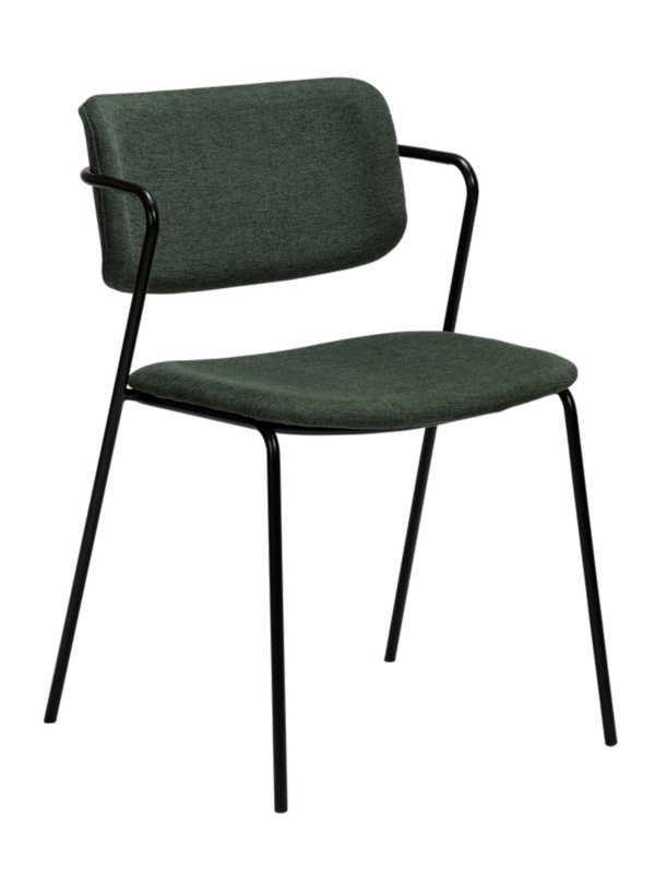 Blagovaonska stolica Zed Green 1