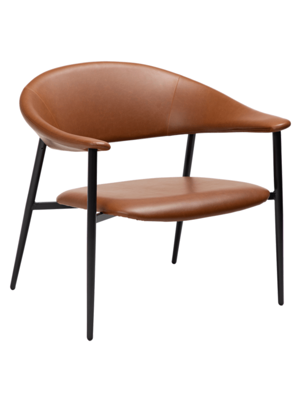 Fotelja Rover Brown