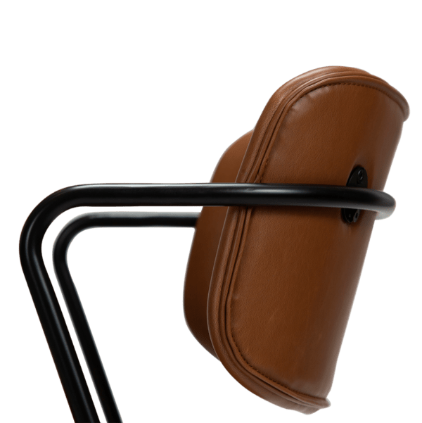 Blagovaonska stolica Zed Brown - Slika 5