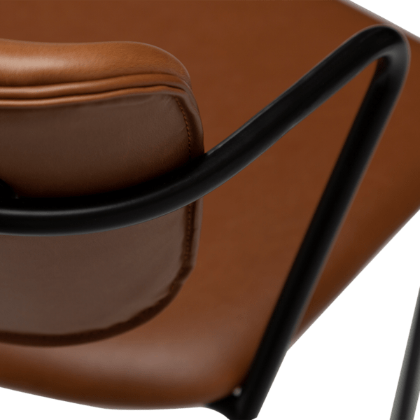 Blagovaonska stolica Zed Brown - Slika 6