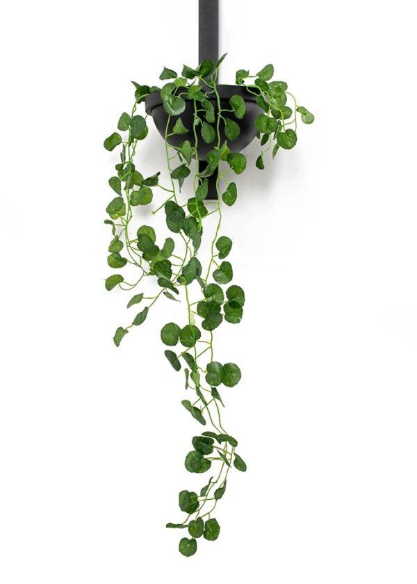 Zidna svjetiljka Plant Wall - Slika 7